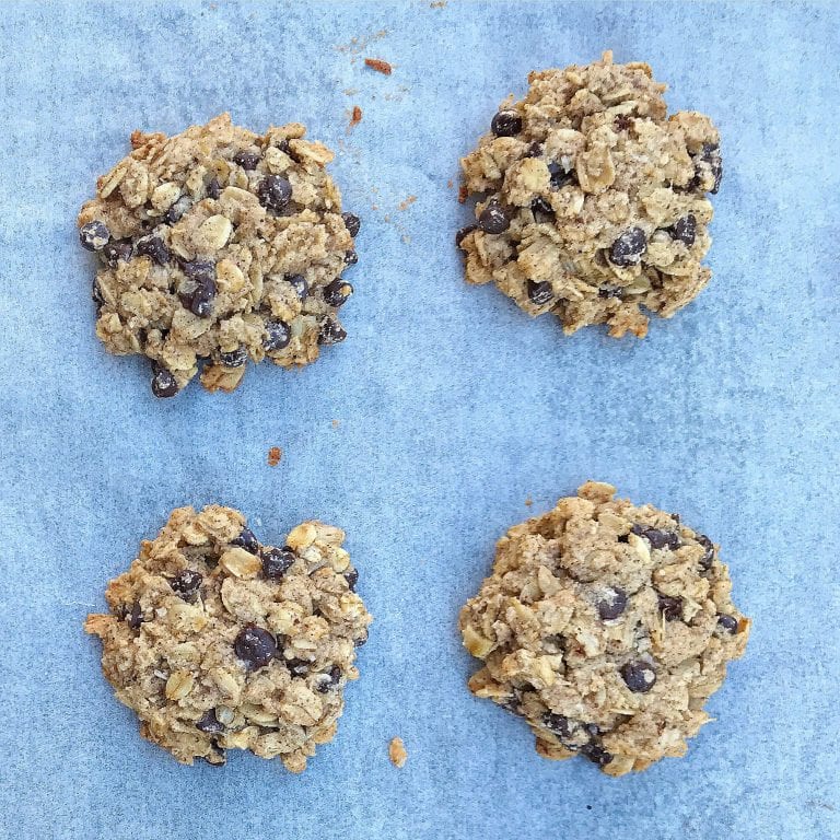 gluten free oatmeal chocolate chip cookies