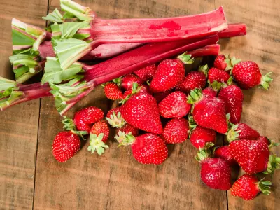 fresh strawberries and rhubarb stalks