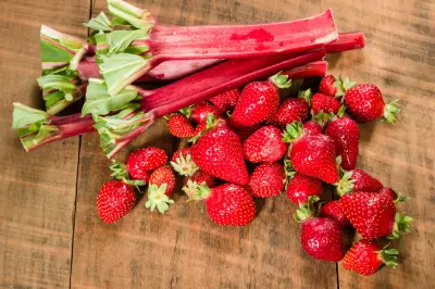fresh strawberries and rhubarb stalks