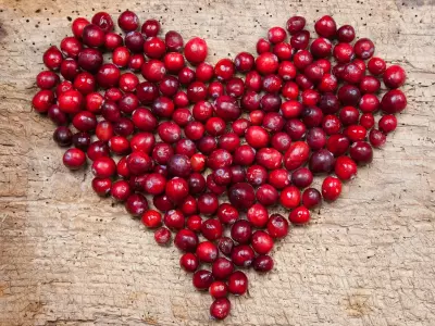 Gluten Free Cranberry Almond Cake