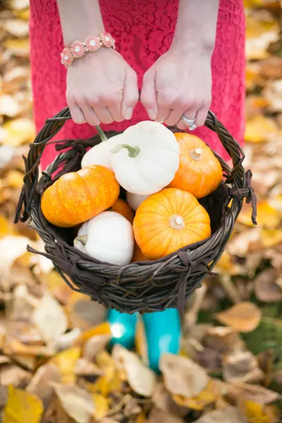 Pumpkin Spice Ebook